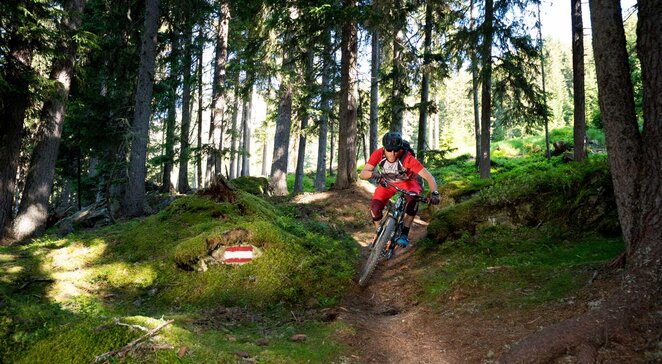 Mountainbiker auf dem Dias-Trail durch einen Nadelwald in Kappl