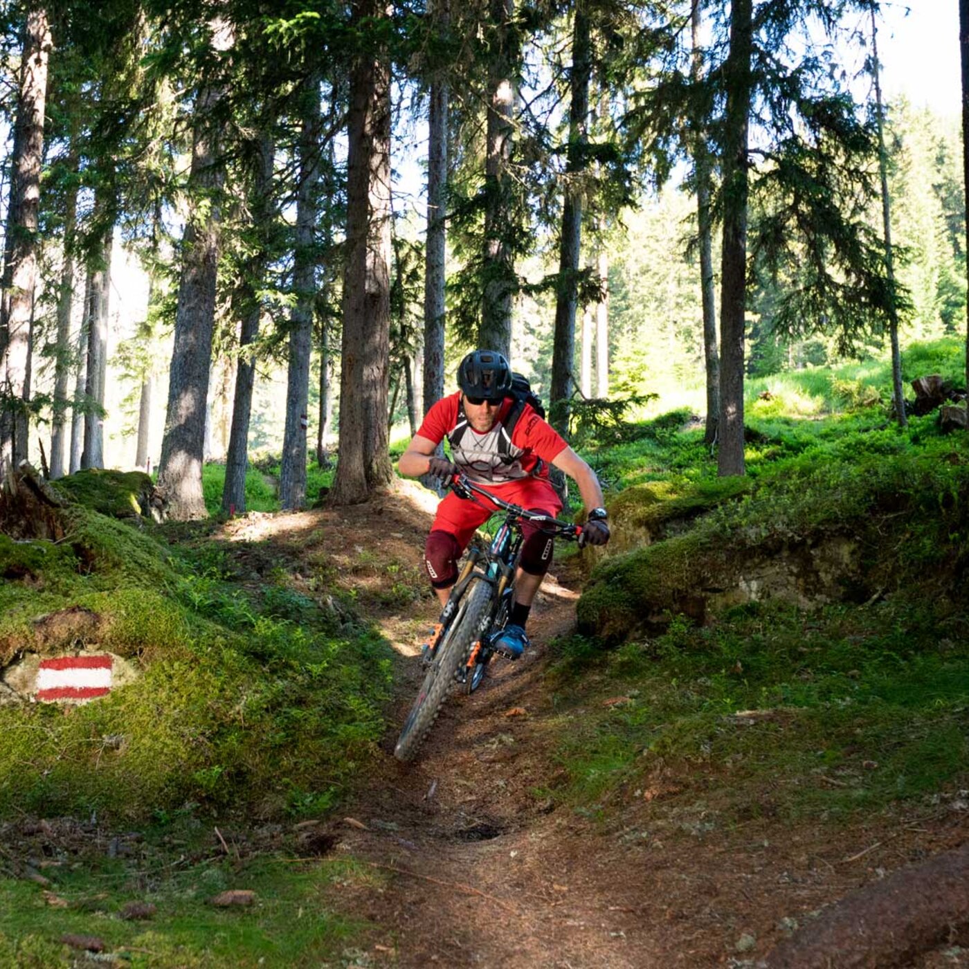 Mountainbiker auf dem Dias-Trail durch einen Nadelwald in Kappl